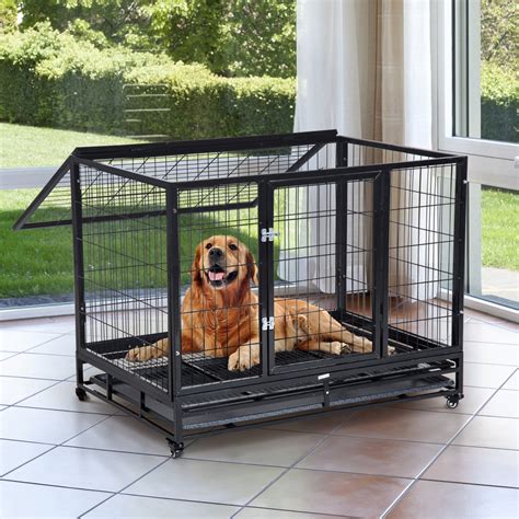 jaula para perros - curriculo para jovem aprendiz